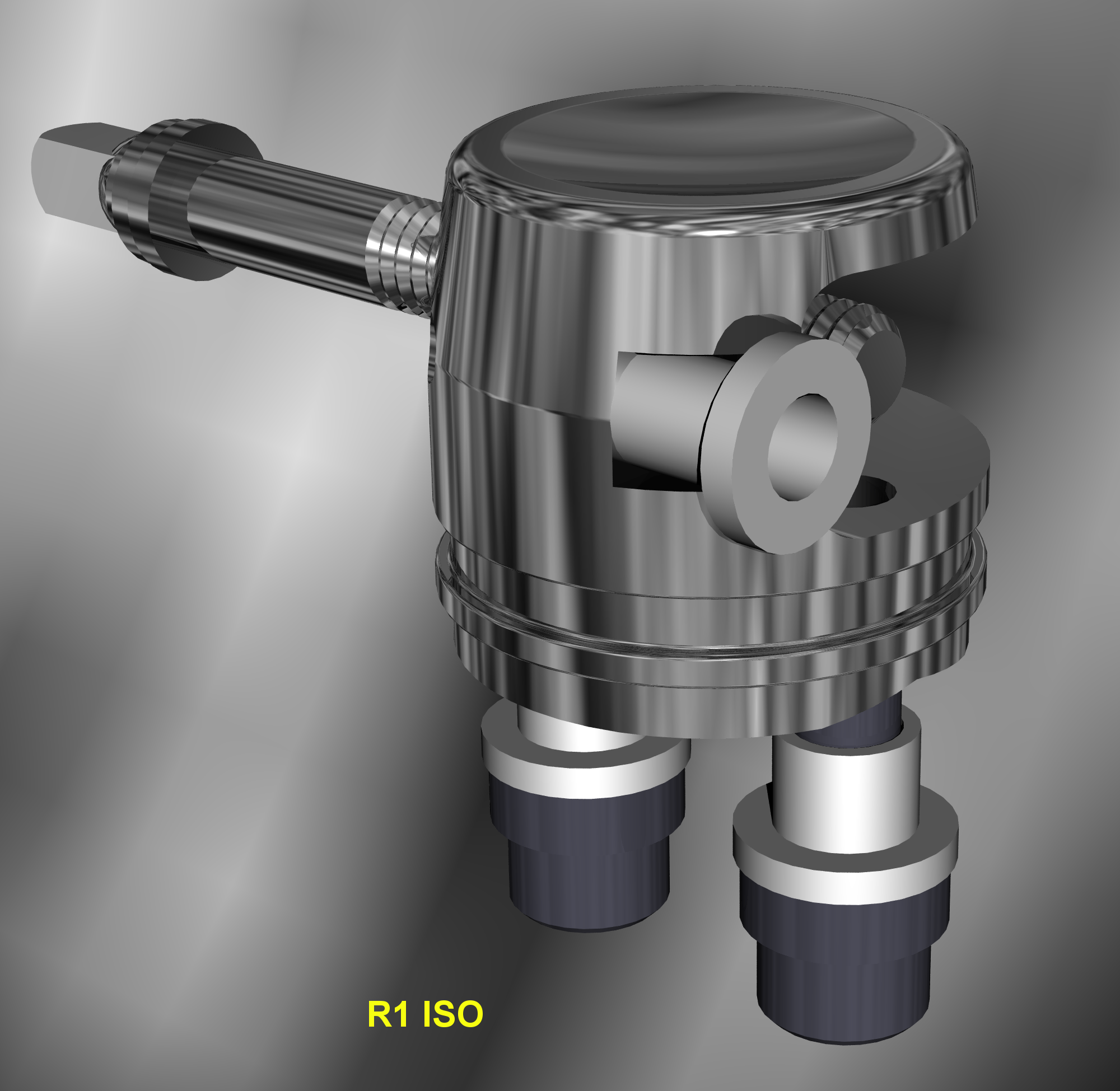R1 ISO